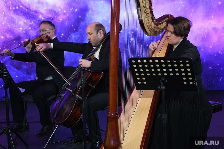    Звучание арфы гости «Безумных дней» услышат и во время фестиваля Владимир Жабриков © URA.RU