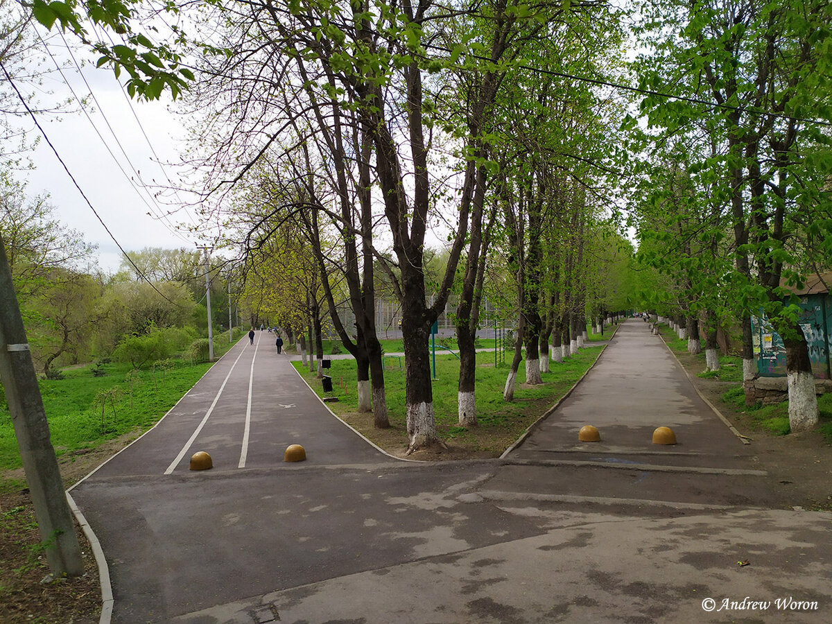 Парк октября ростов на дону фото Прогулка по парку им. Октября. Ростов-на-Дону Иду за солнцем... Дзен