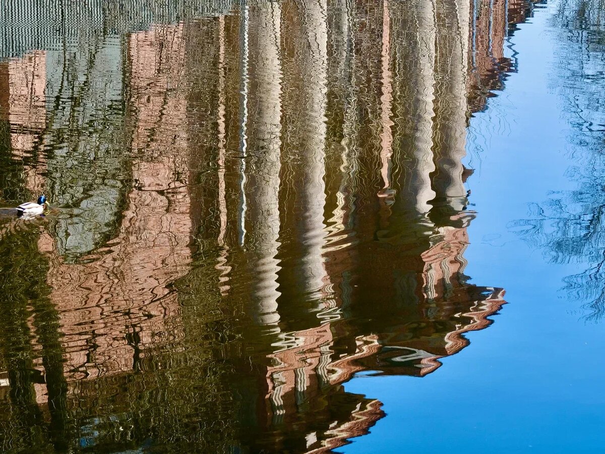 Новая Голландия