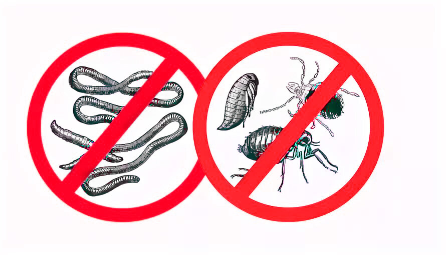 Осторожно, паразиты!