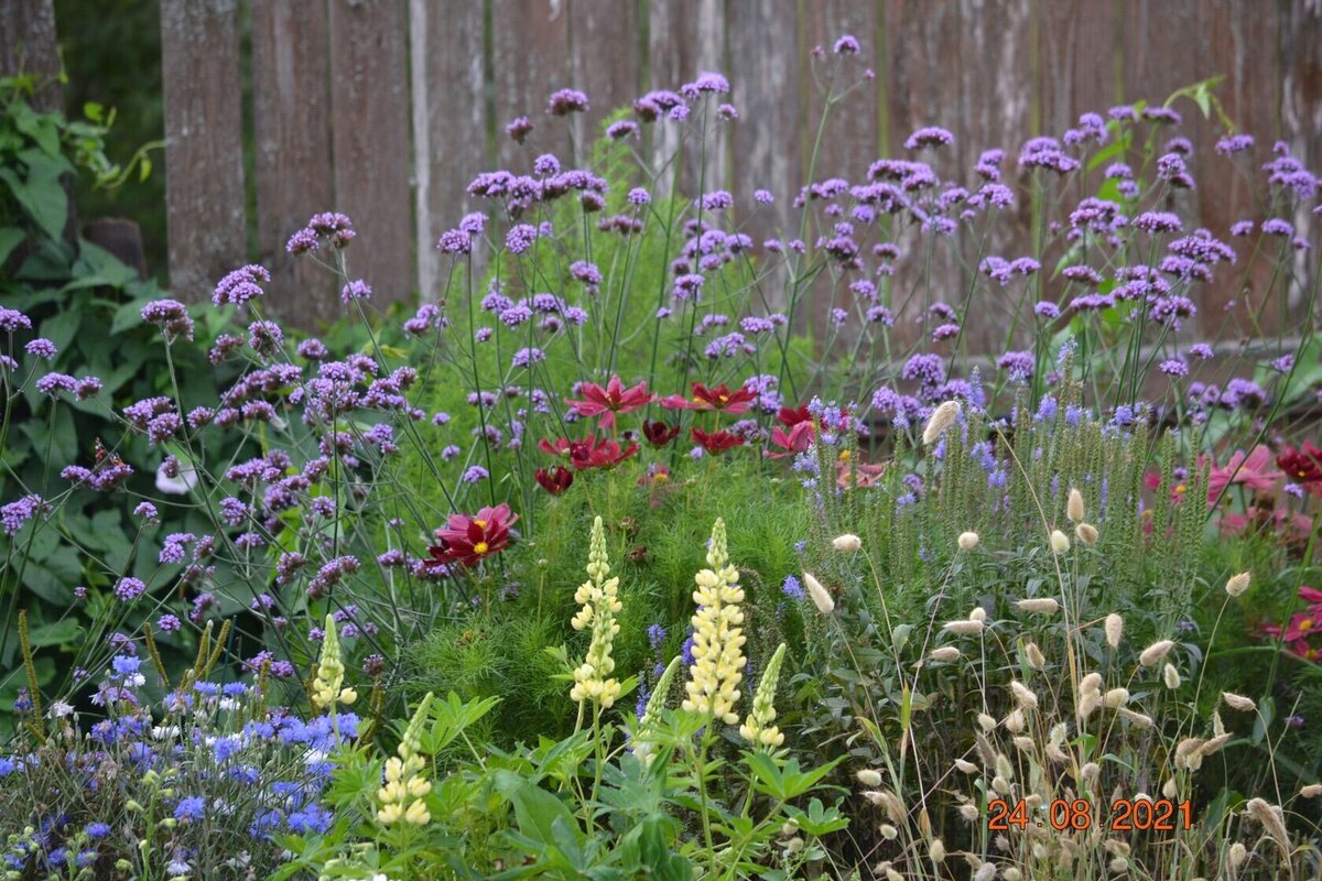 В группе только летнички. И малолетник Люпин)