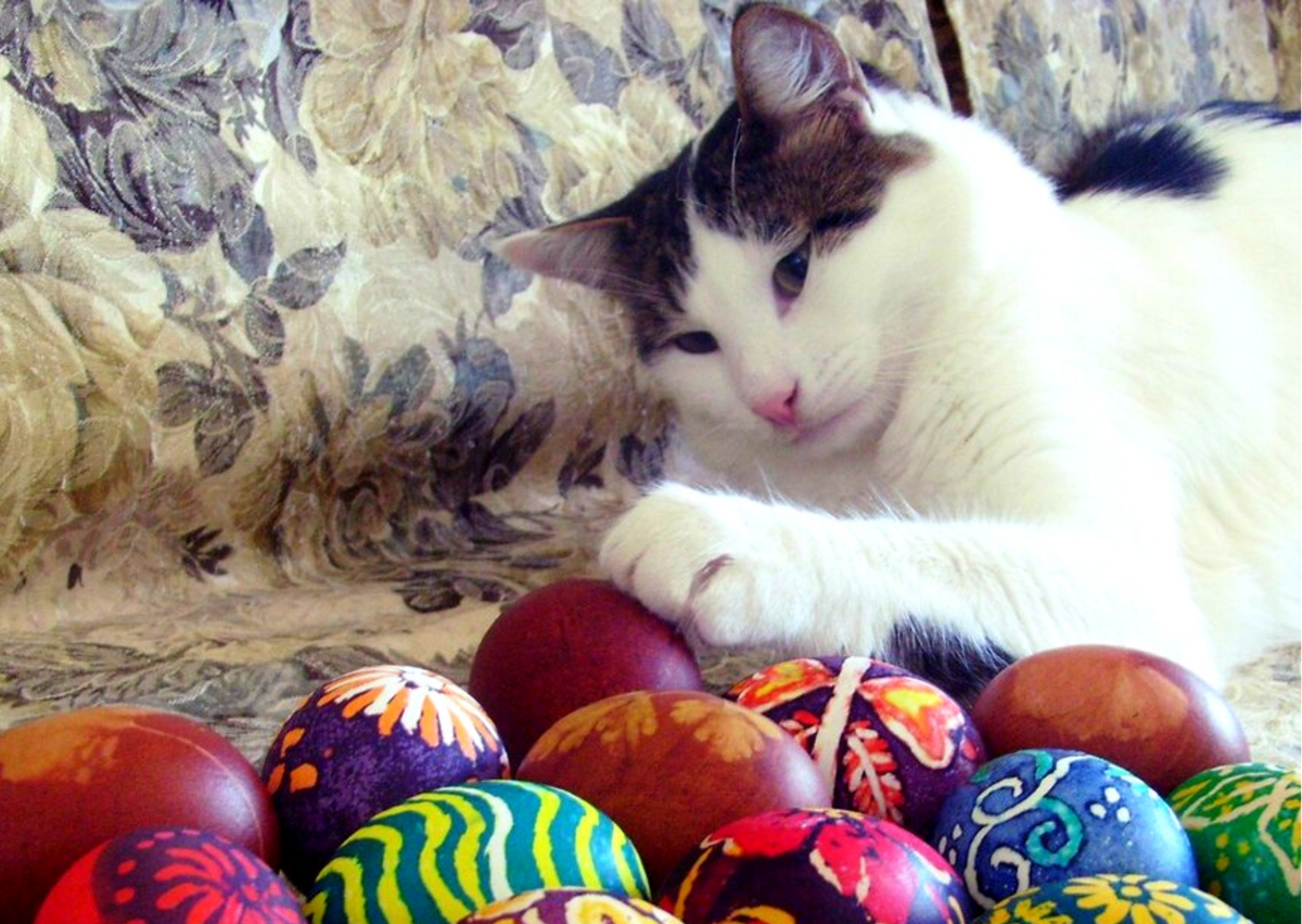 ���������� ������. ��������, ������� ���� �����. �������� ����: supersnimki.ru