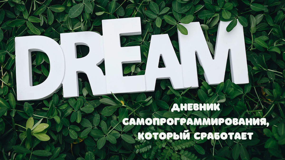 Такой модный дневник самопрограммирования: как его вести правильно? |  Спецагент по счастью | Дзен