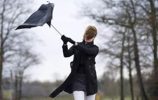 Источник фото: фото из открытых источников