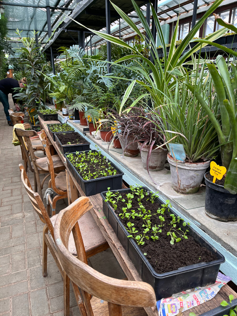 Оранжерея в ботаническом саду Академии