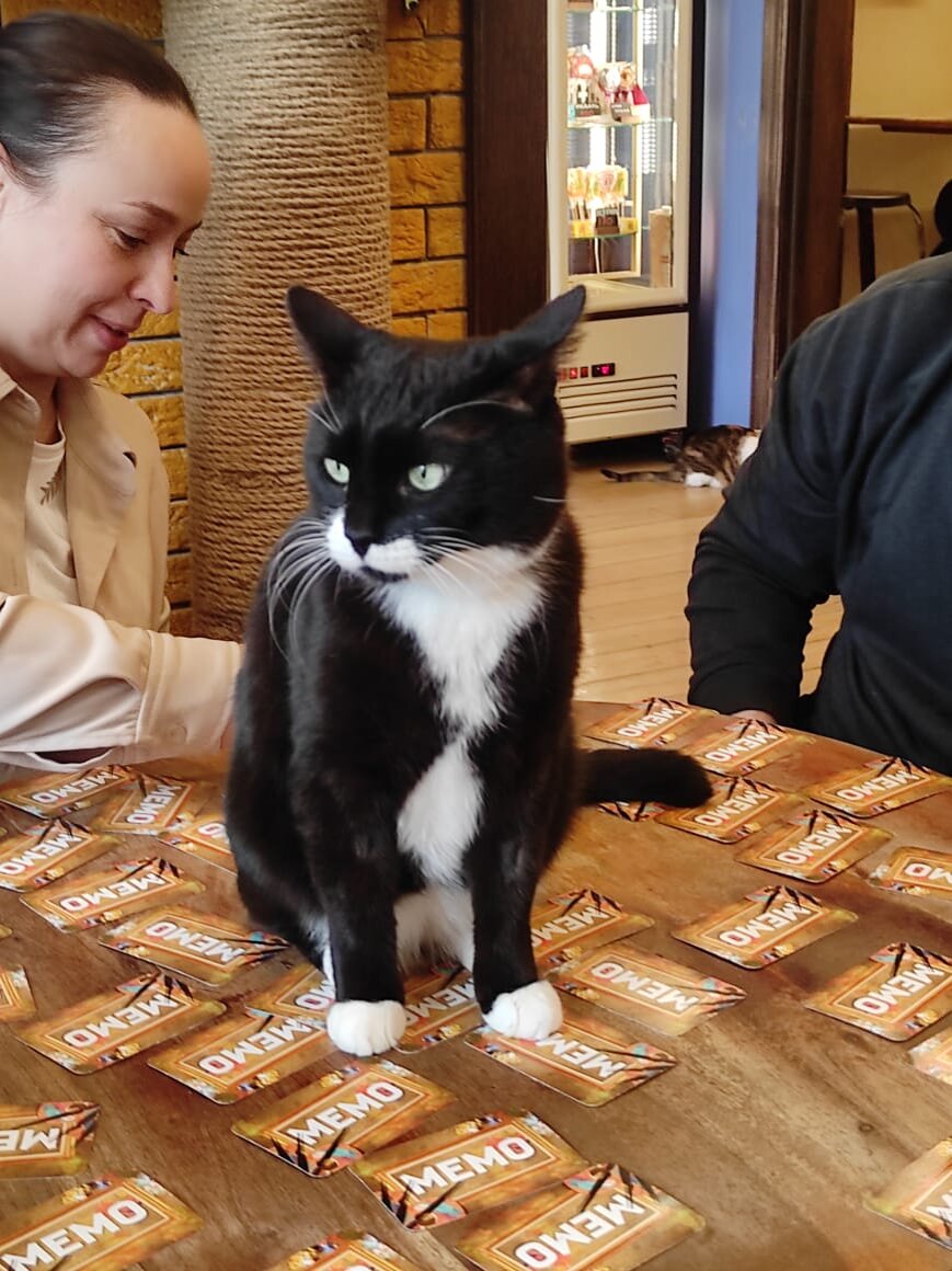 Фото автора. Можно поиграть в настольные игры. Почитать книги.