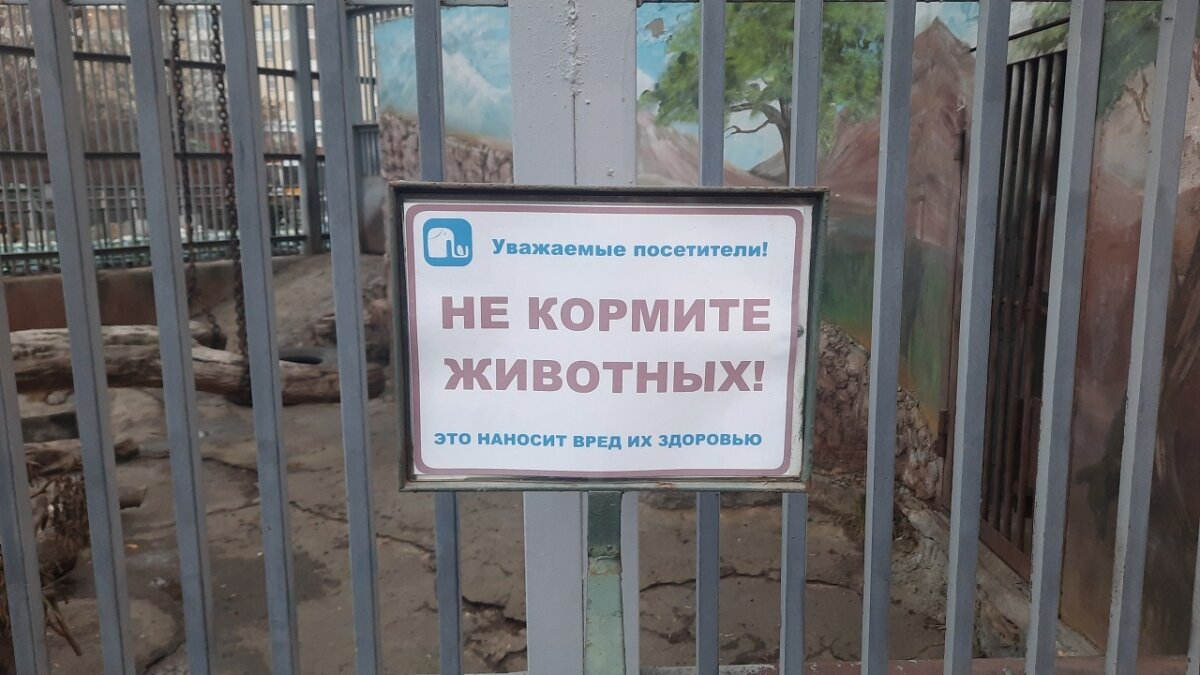 ИА SM News Екатеринбург📷
