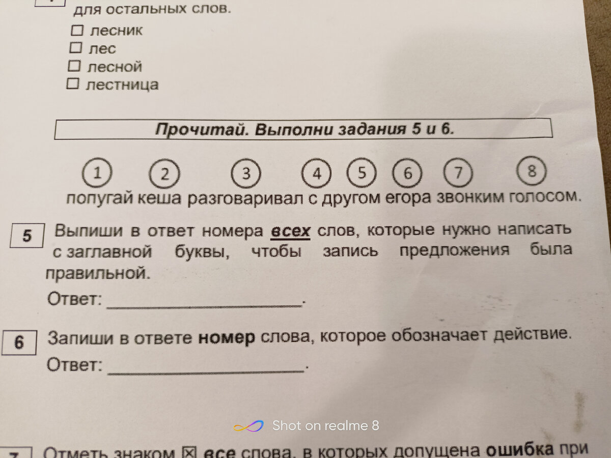 1 класс. Итоговое тестирование. Я бы голову оторвала тому, кто придумал  этот тест. | Будни Черной Кошки | Дзен