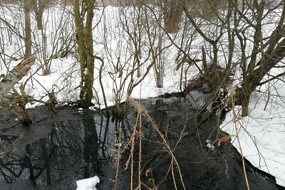    Загрязнение почвы сточными водами в Дмитровском округе © Пресс-служба Министерства экологии и природопользования Московской области