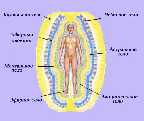 картинка из интернета
