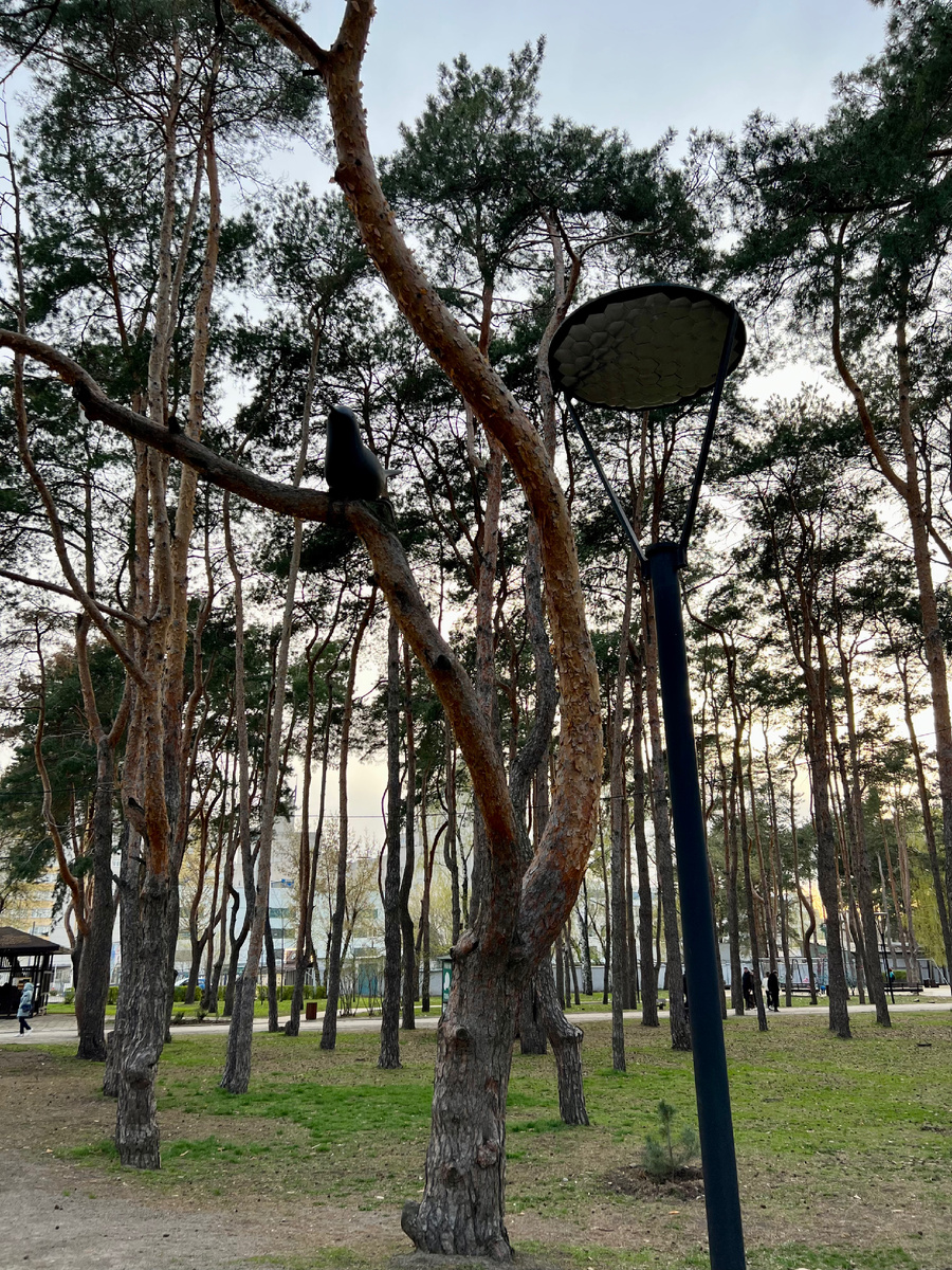 Фото автора