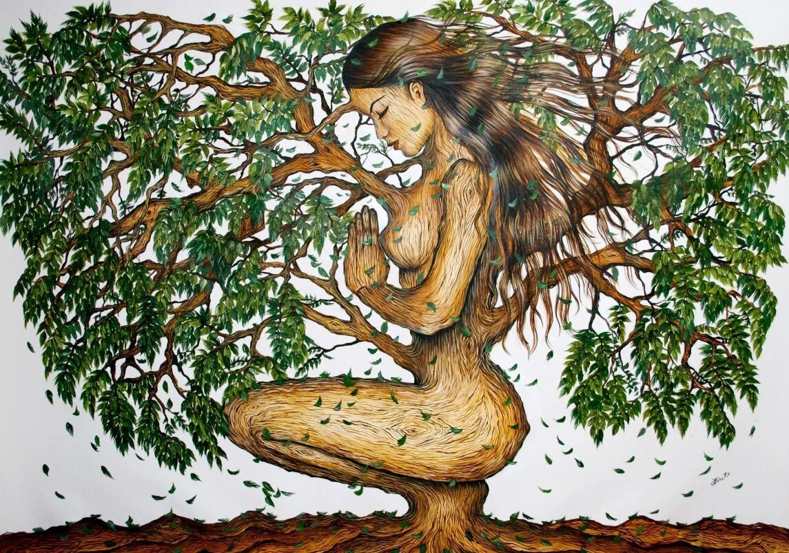 Взято из Яндекс Картинки