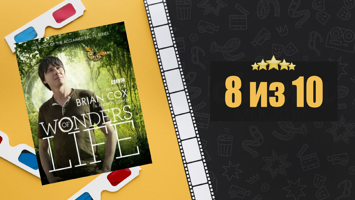 Чудеса жизни. Wonders of Life. Рецензия на фильм