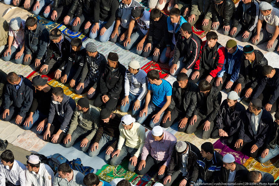 Фото из свободных источников.