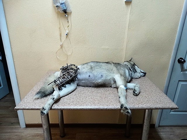 Лечение перелома