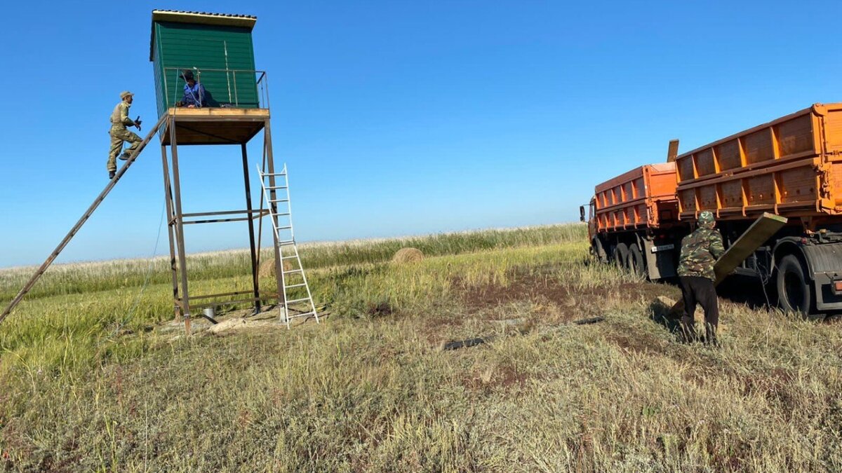 Кошелевское охотничье хозяйство📷
