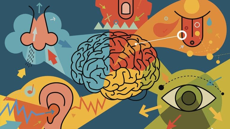 Факты о человеке.