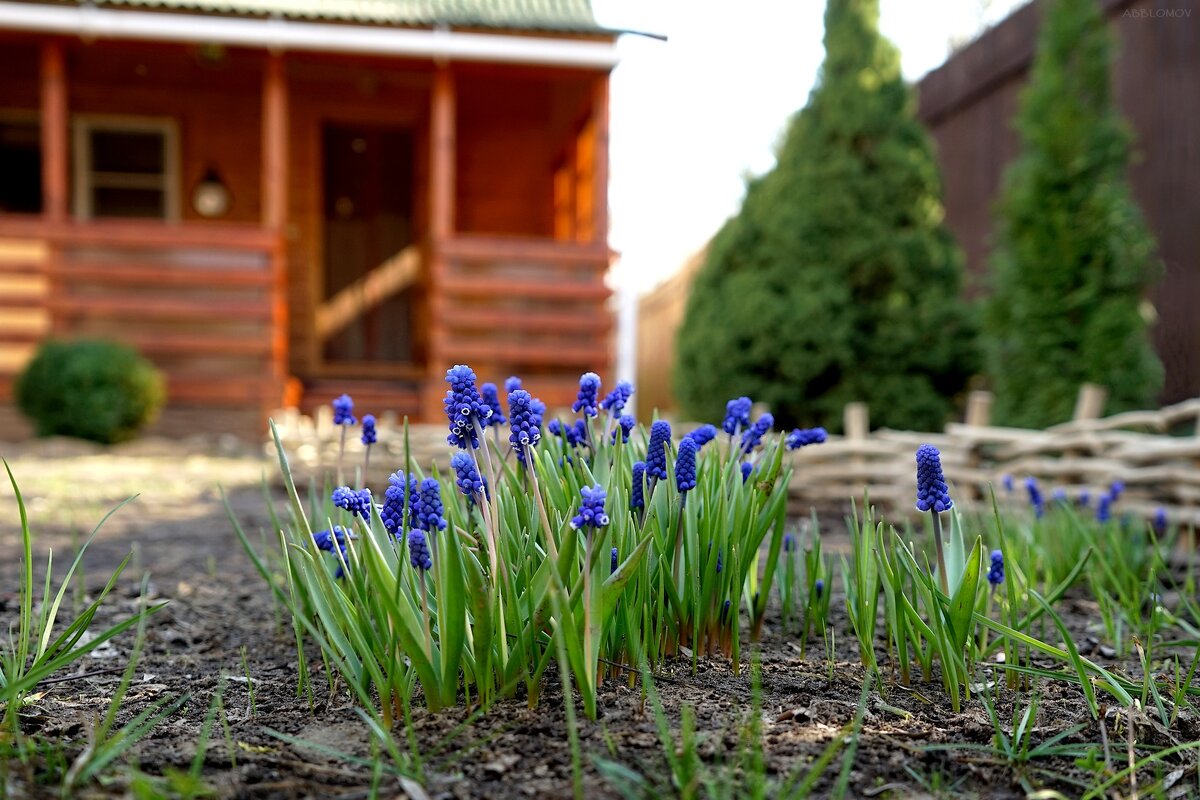 Sony Alpha A7, Sony FE 28-70/3.5-5.6 OSS