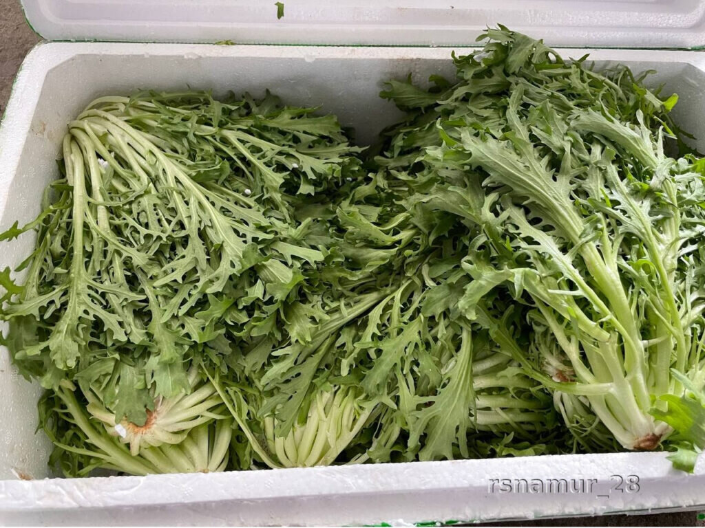    Фото: Управление Россельхознадзора по Амурской области и Республике Саха (Якутия)