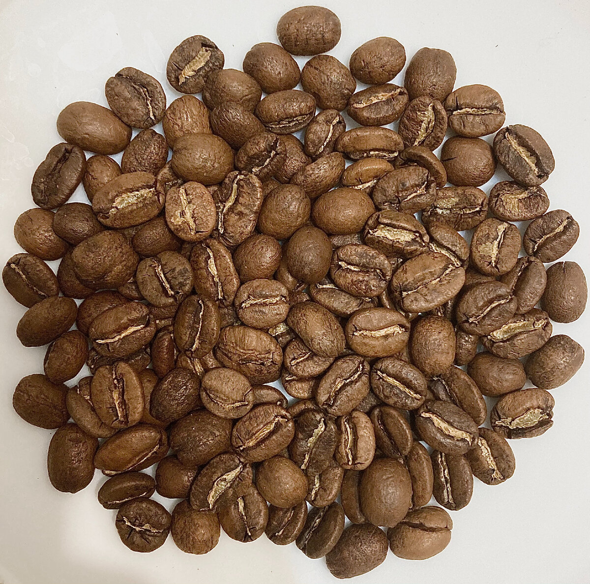 Максимально стабильная разновидность кастильо экспериментальной обработки авторства Диего Самуэля Бермудеса - как и в случае с урожаем 2021 года, зерно однородное, ровное и довольно крупное. Сильверскин по центру зерна говорит об этапе ферментации в воде, а легкая пигментация - об этапе анаэробной ферментации. 