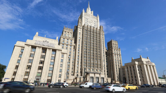    МИД РФ отклонил запрос США на консульское посещение журналиста Гершковича Анна Оленькова