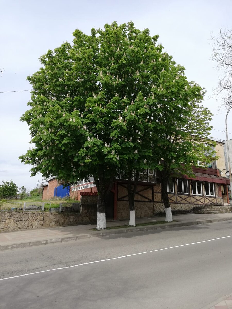 По дороге на автовокзал
