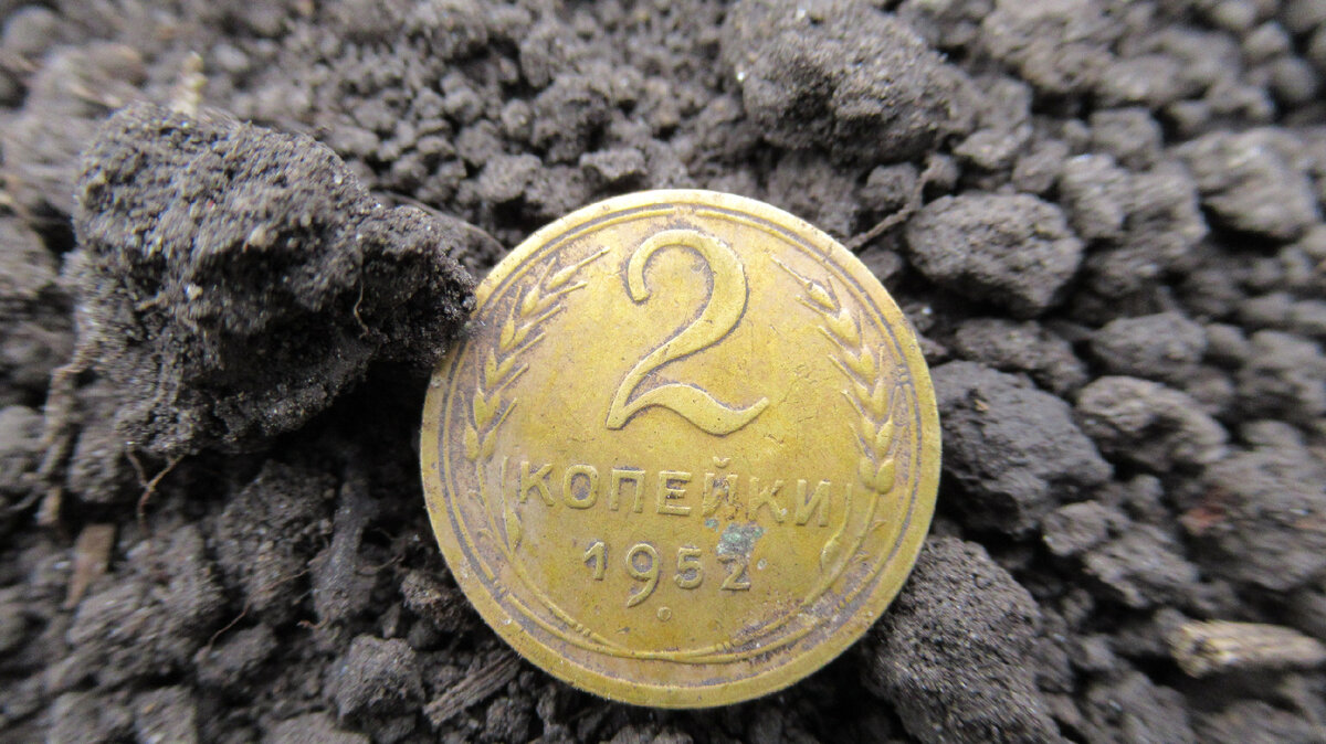 Фото из собственного архива.