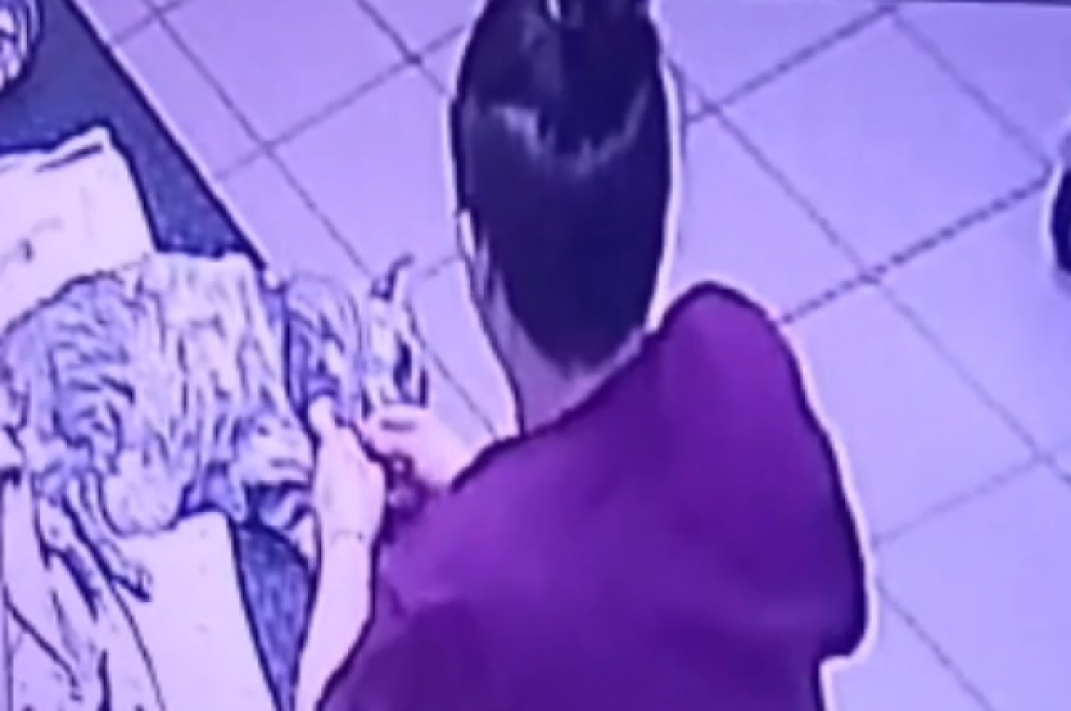    В Новосибирске практикантка ветеринарной клиники убила кота уколом