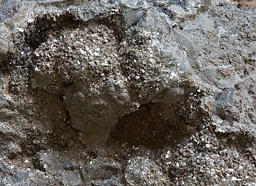 Отложения марганца