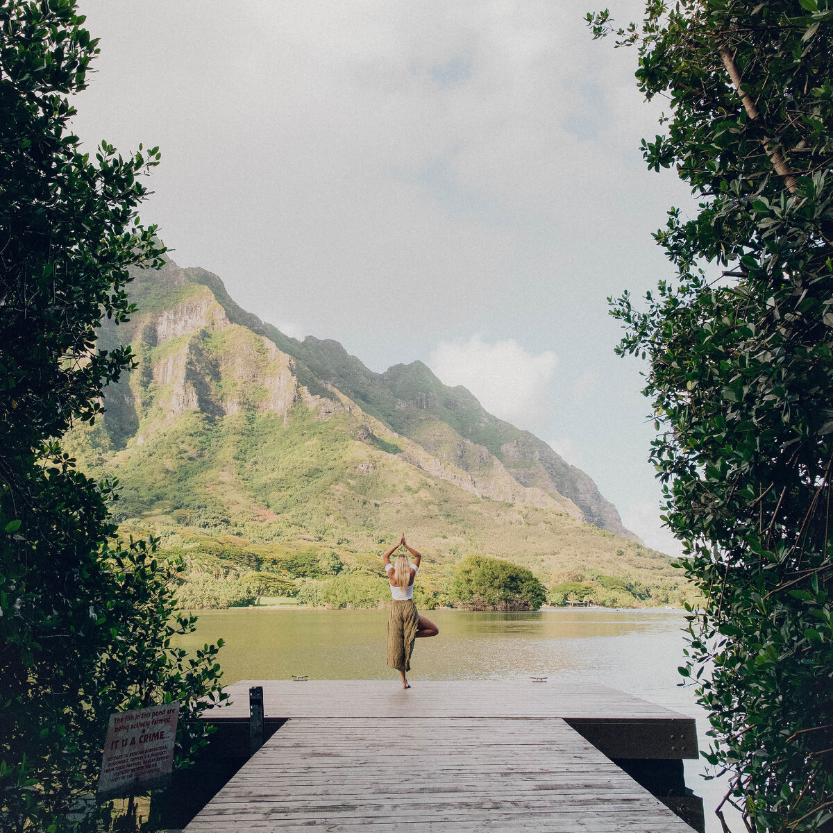 kevin turcios - Unsplash 