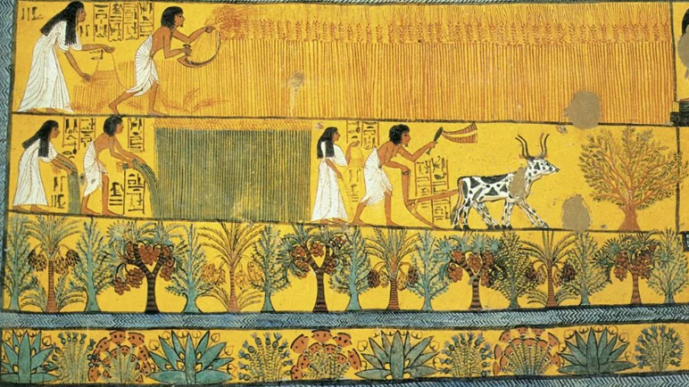 Фото из интернета