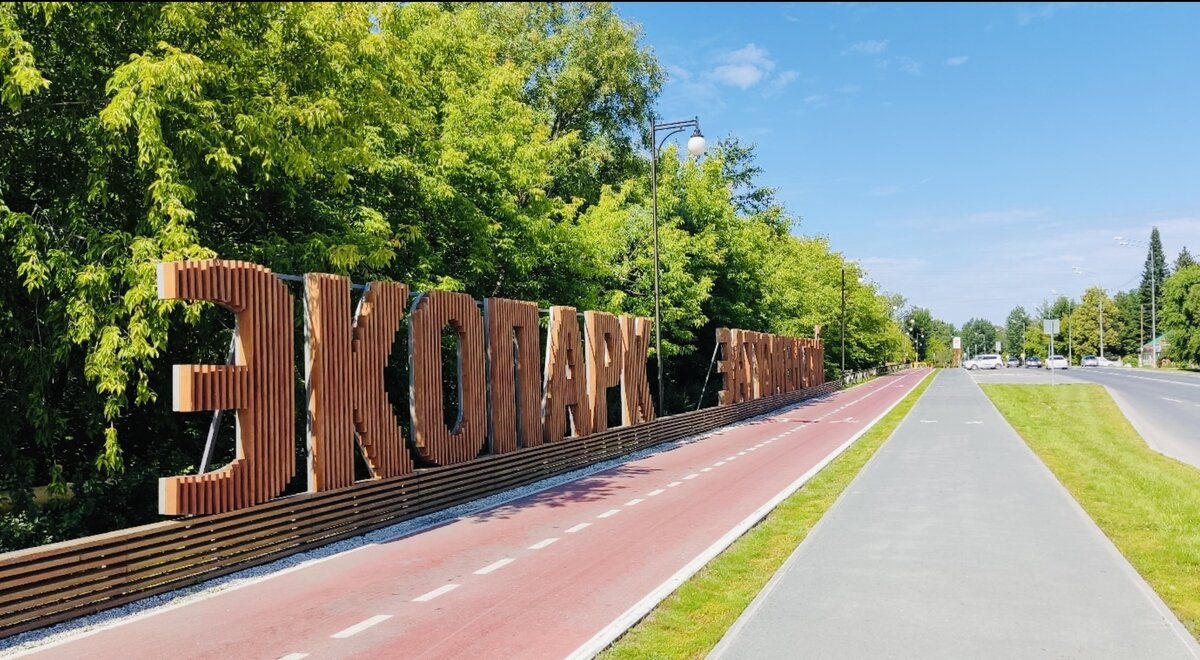 Фото из открытого источника