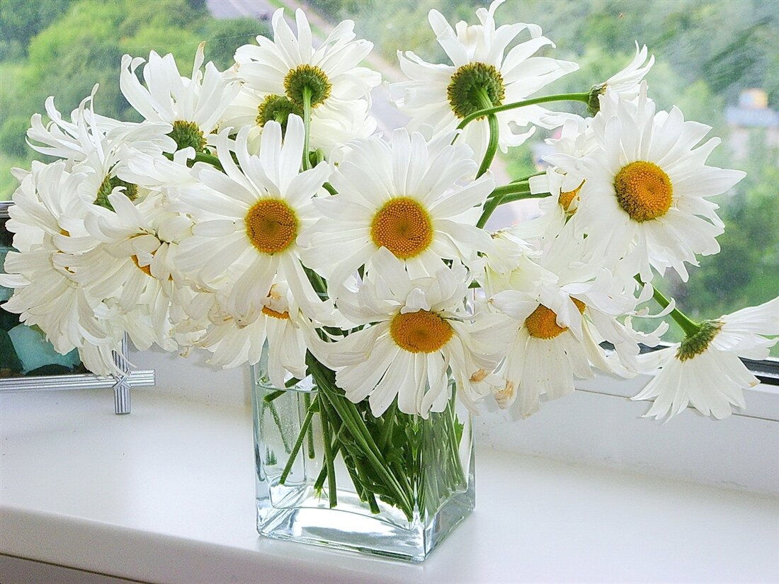 изображение из интернета