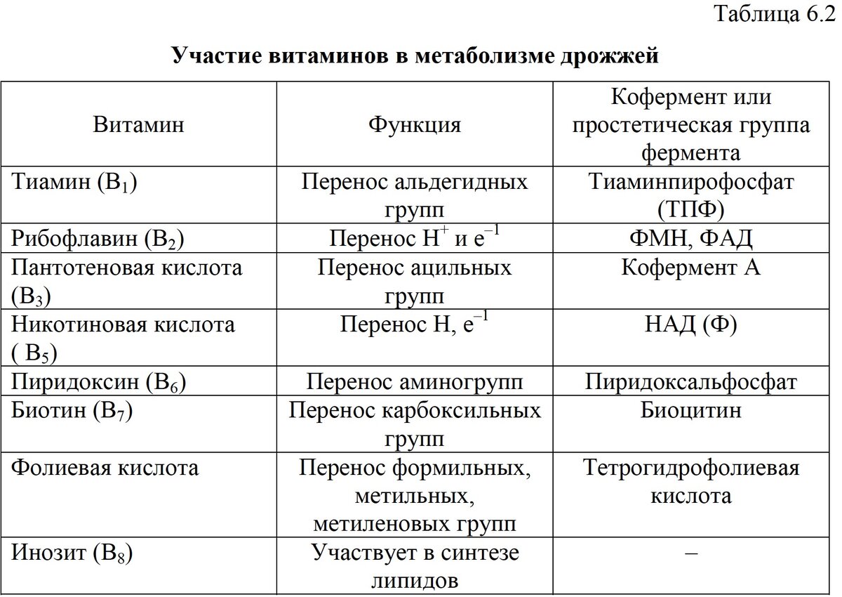 Все о дрожжах «Saccharomyces cerevisiae» | ООО ПРОБИОТЕХНОЛОГИИ | Дзен