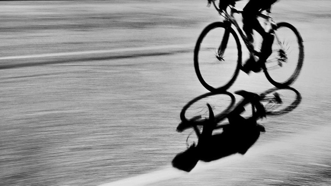 ФОТО: CANARAN/SHUTTERSTOCK.COM