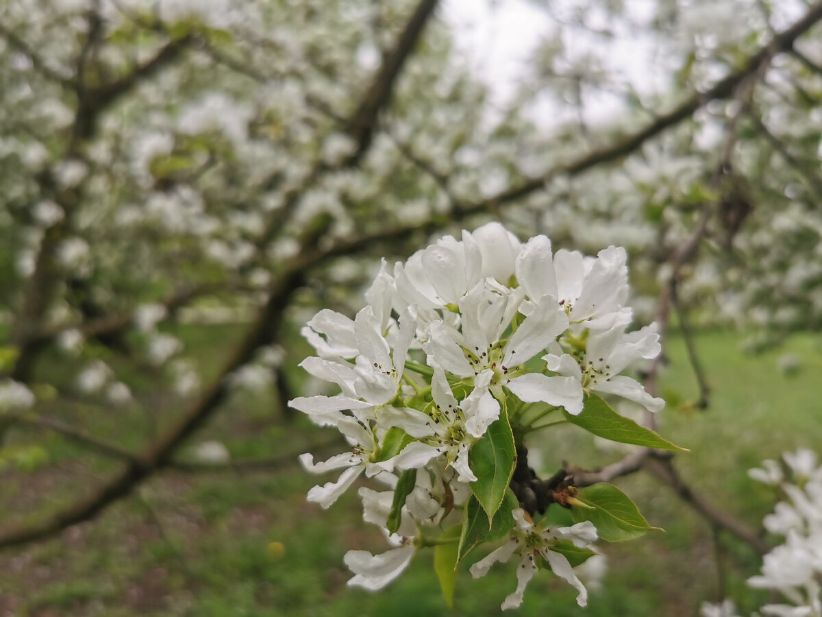 Фото из личного архива автора.