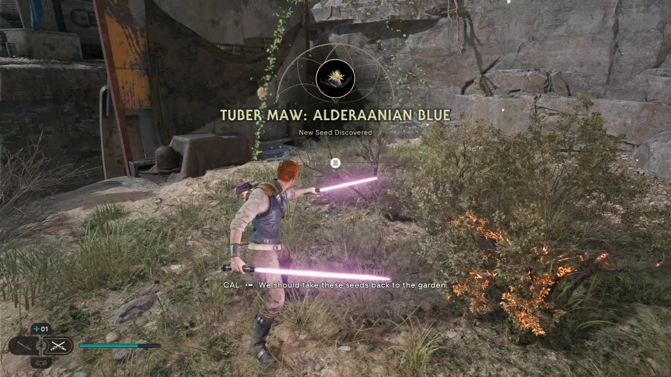 Разрежьте их своим световым мечом, чтобы получить семена