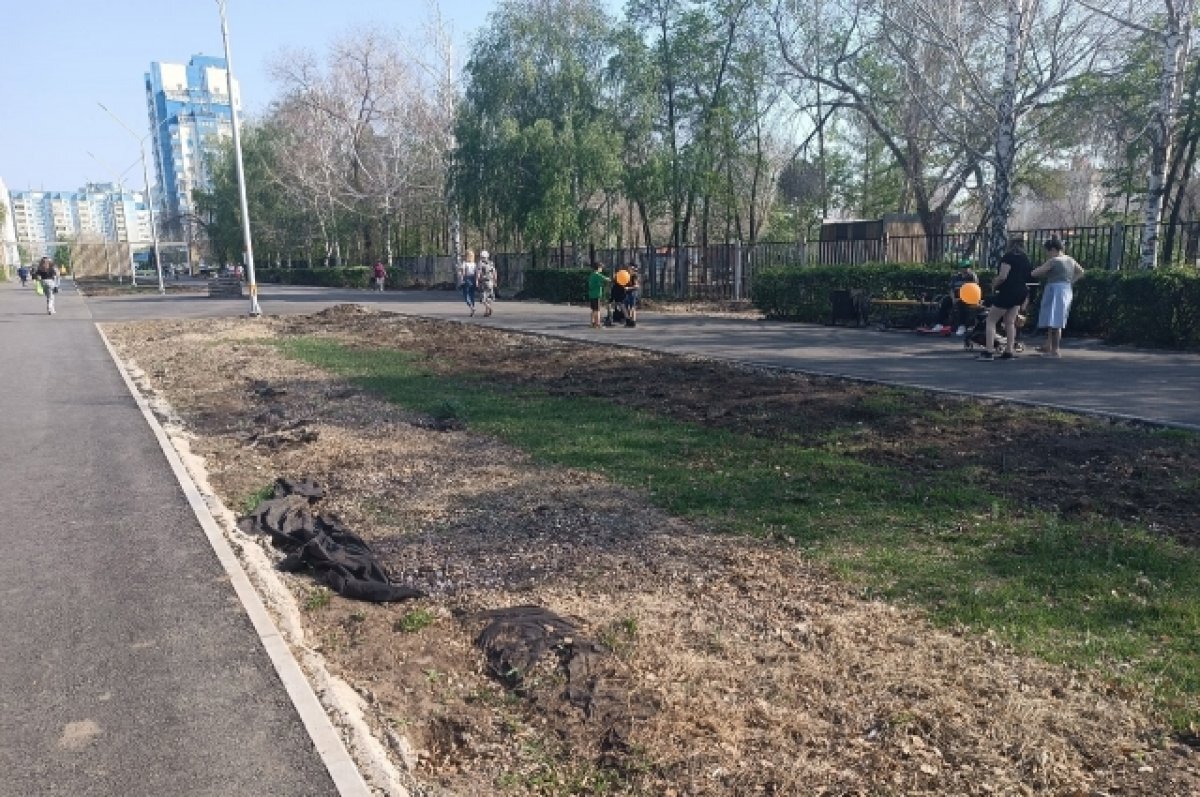    "Оренпарк" вызвал противоречивые эмоции у жителей