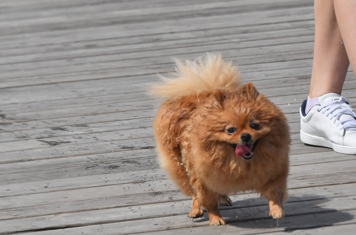 Фото: Komsomolskaya Pravda / globallookpress.com