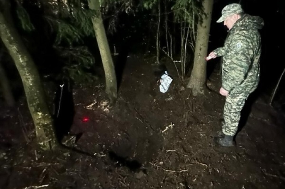    Яма, в которой находилось тело убитой.