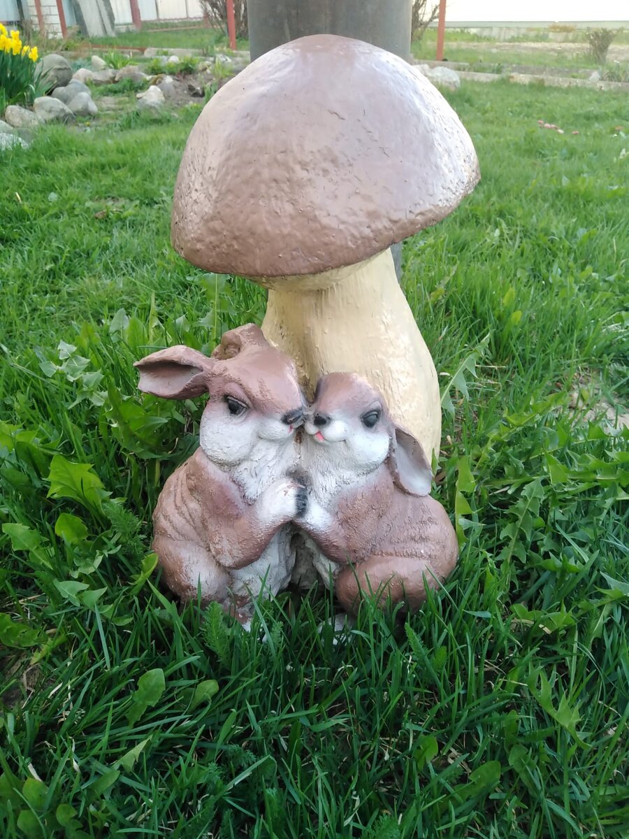 Зайцы у свекрови на газоне