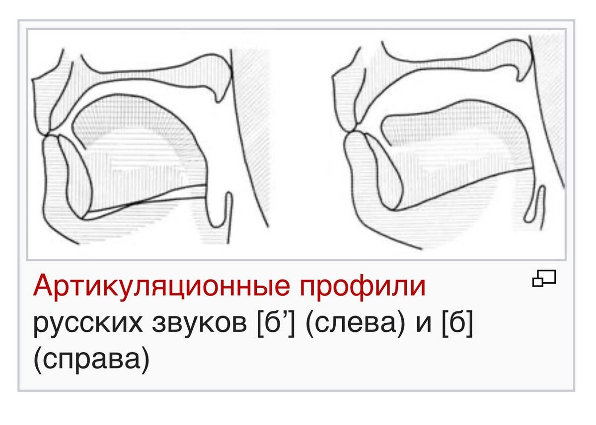 Чередующиеся корни - 2 | Русский язык без исключений | Дзен