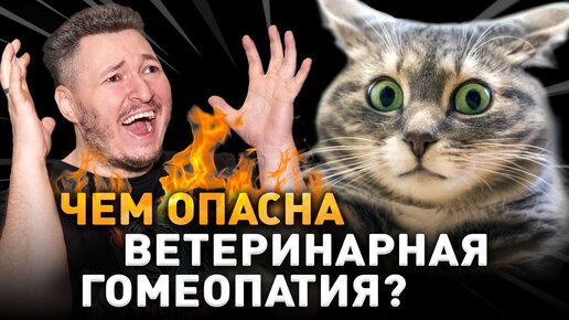 Чем опасна ветеринарная гомеопатия? Ученые против мифов 19-16. Ветеринар Михаил Вагабов