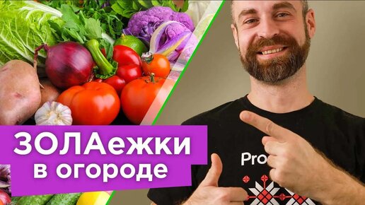 Растения, которые обожают золу! Подкормите их особым зольным настоем и собирайте урожай ведрами