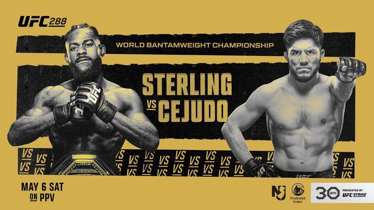     UFC 288