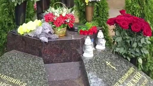 Коршун из Санкт-Петербурга | могила Жириновского на Новодевичьем ...