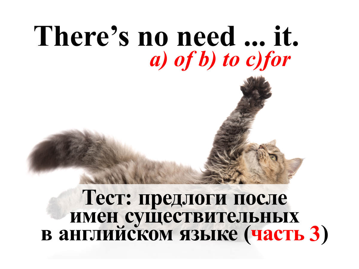 Опять на английском языке. Кошки итог. Опять на английском языке. Опять на английском языке. Английский язык кэт.