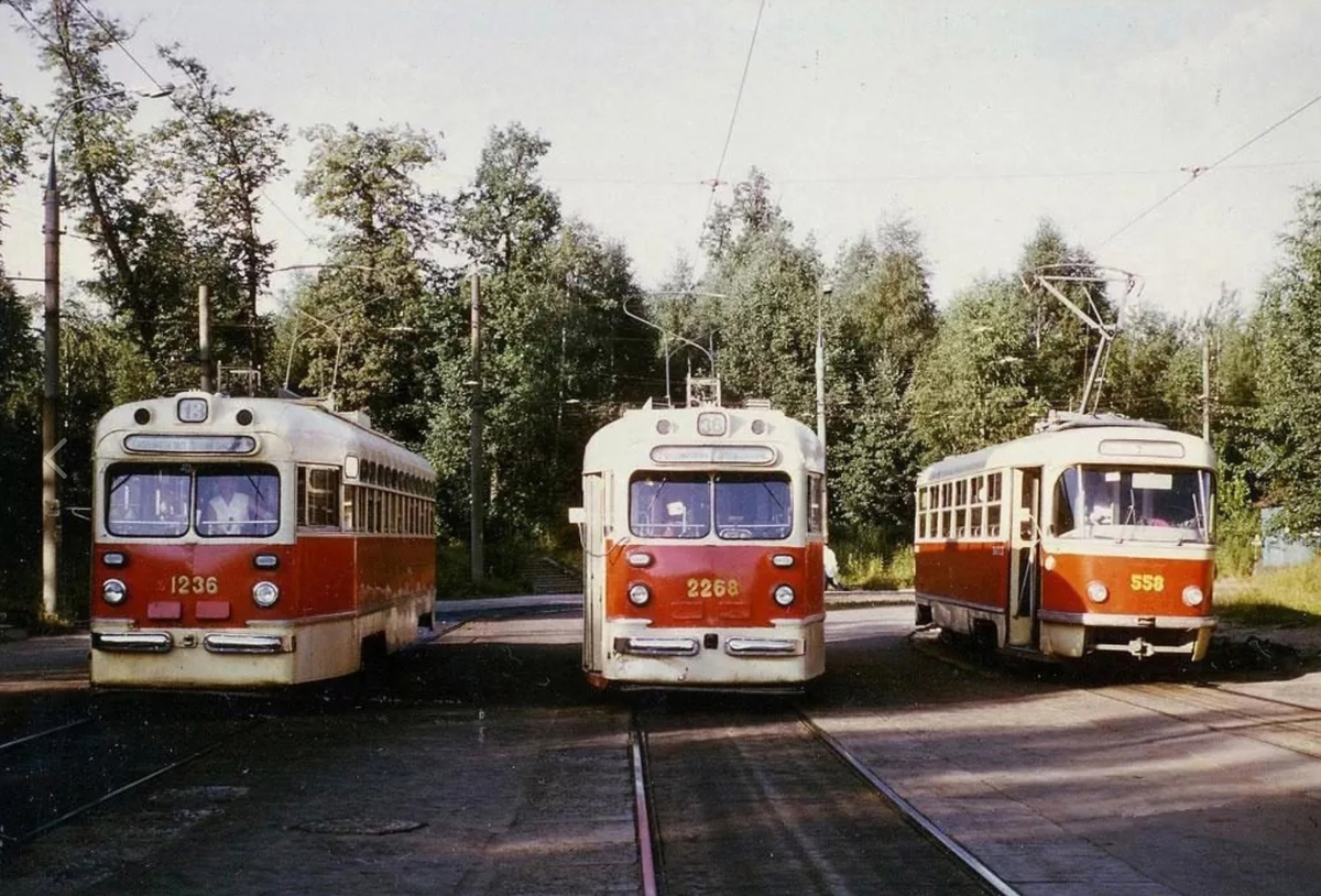 Фото G.A. Schacher