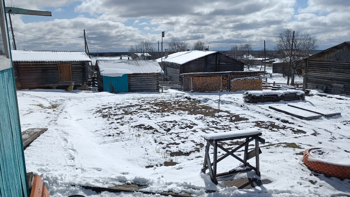 Пришла весна, но зима не спешит уходить. Сегодня уже 8 мая, но во дворе снова лежит снег. Вчера целый день падал снег и ночью сильно подморозило. Того и бойся чтоб не погибли весенние птицы, которые уже прилетели с юга на наш северный край.