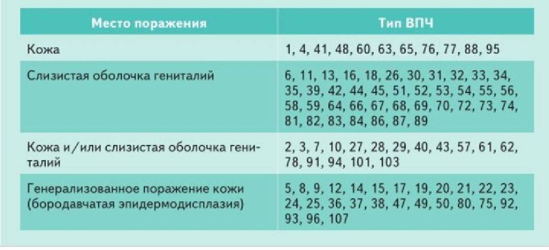 Что такое вирус папилломы человека (ВПЧ)?